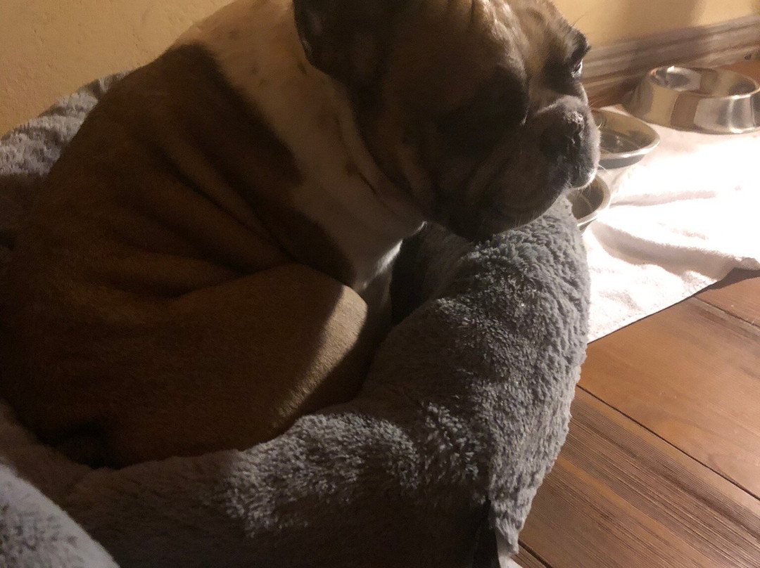 艾德加拉思酒店主图