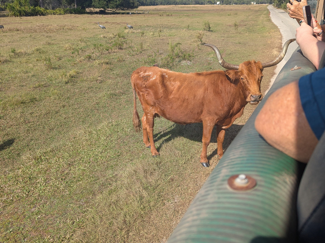 Babcock Ranch Preserve-蓬塔戈尔达必去景点