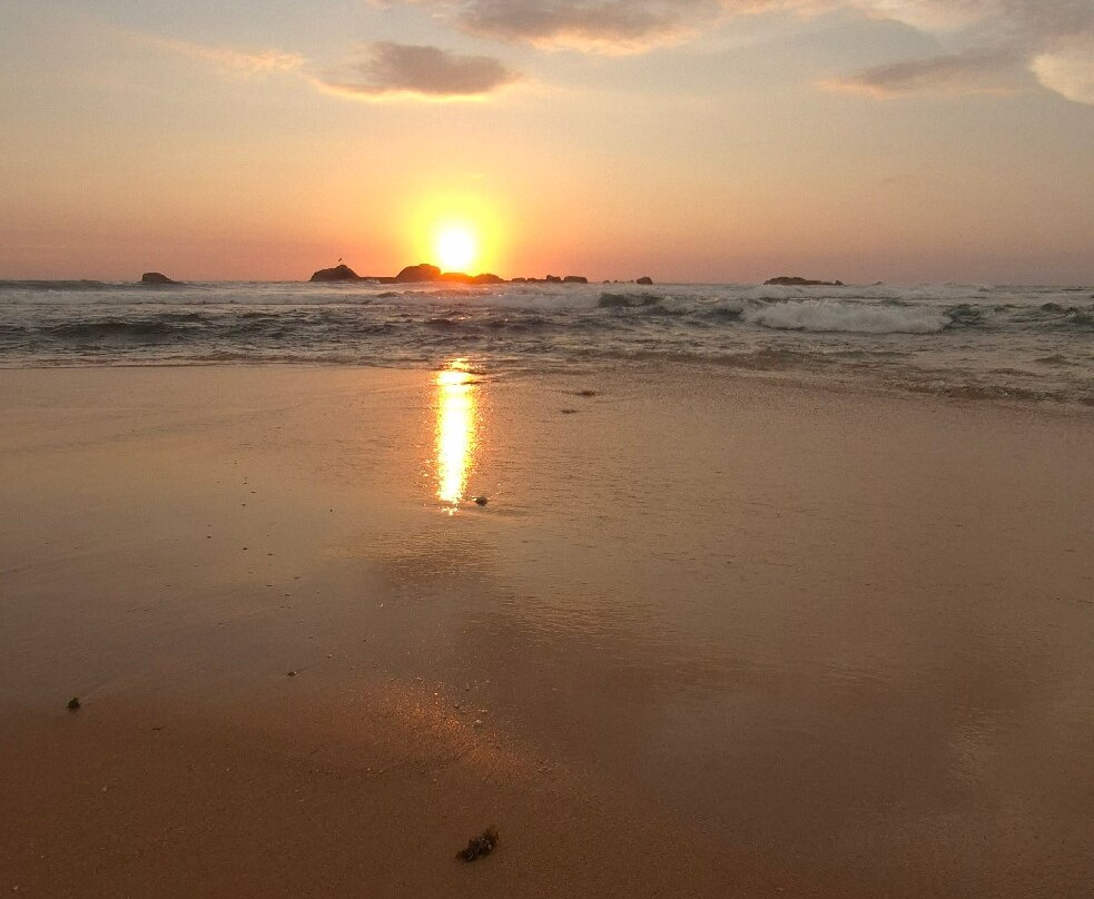 Turtle Beach-希克杜沃必去景点