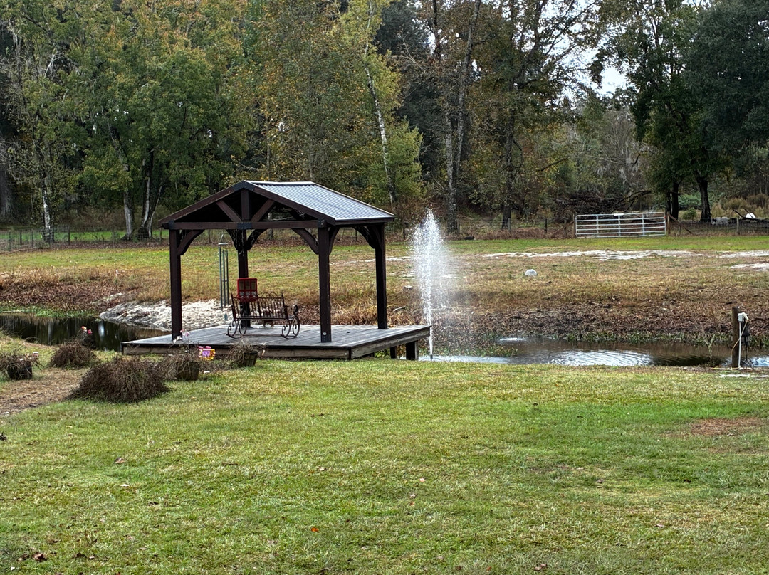 Rooterville Animal Sanctuary-Melrose必去景点