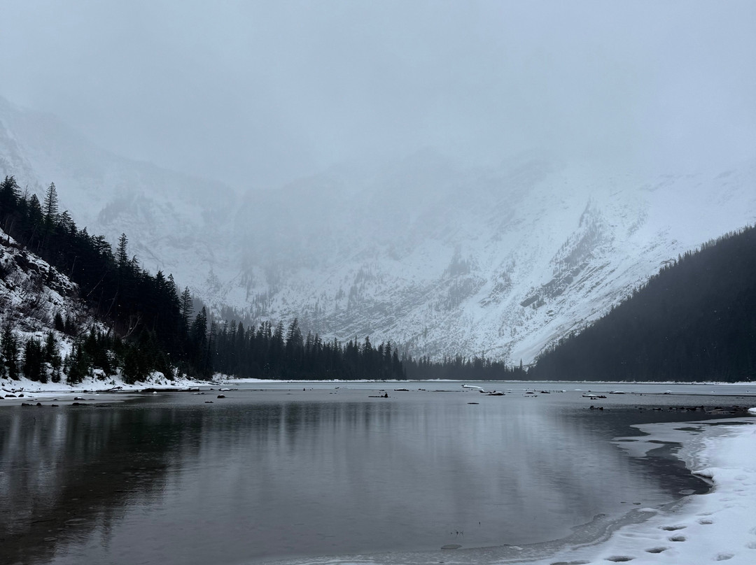 Glacier Adventure Guides - Day Tours-Columbia Falls必去景点