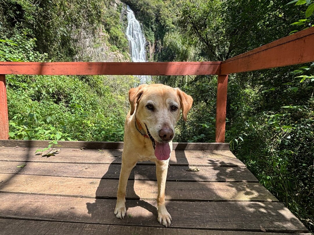 Cascata do Moinho-Progresso必去景点