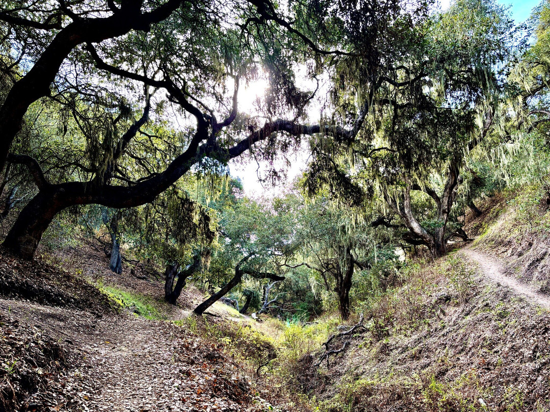 Pismo Preserve-庇斯摩海滩必去景点