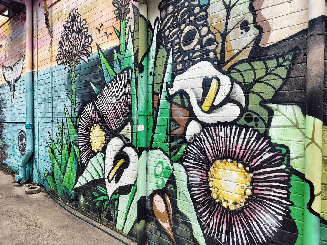 Nelson Bay-尼尔森湾必去景点