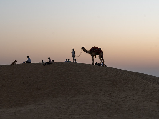 Jodhpur Voyage Pvt Ltd-焦特布尔必去景点