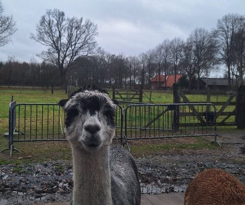 Het Land van Kempers-Geesteren必去景点