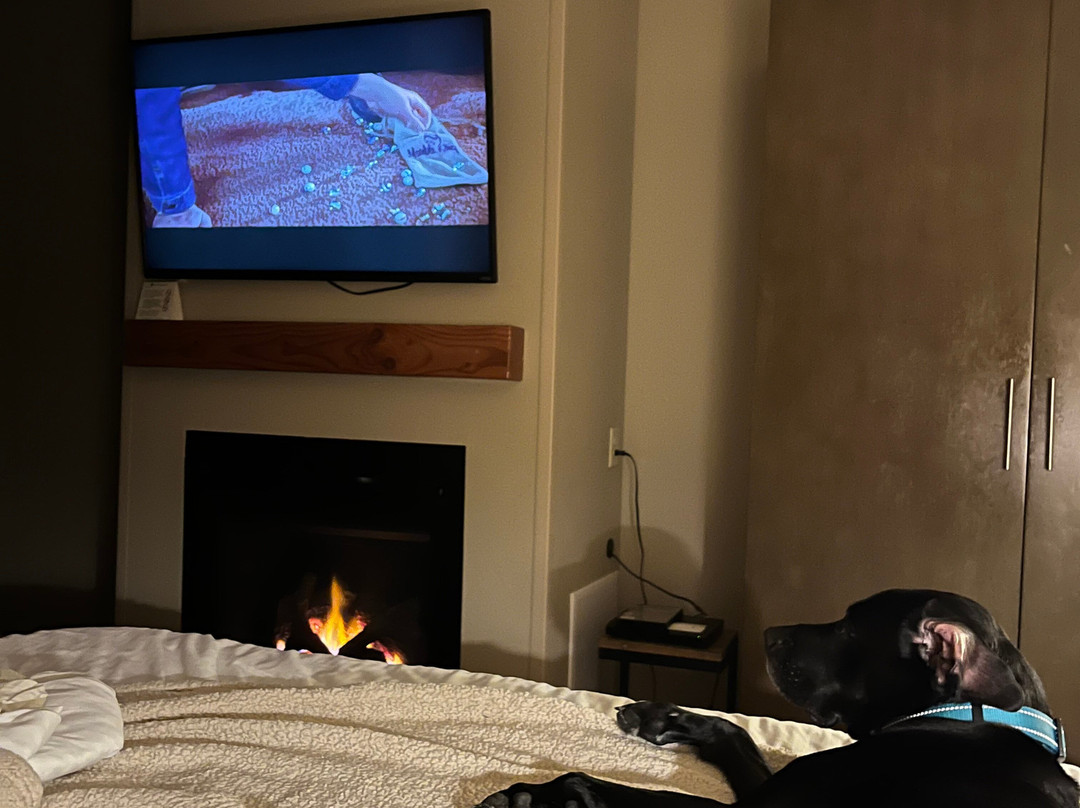 坎农比奇酒店主图