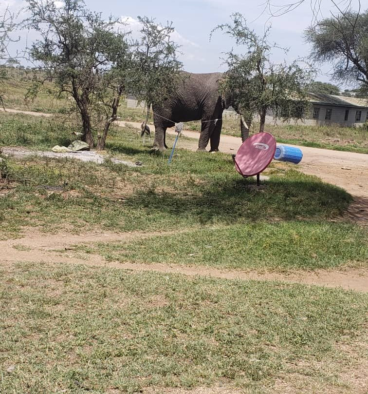 Mamnana Adventures-Olasiti必去景点