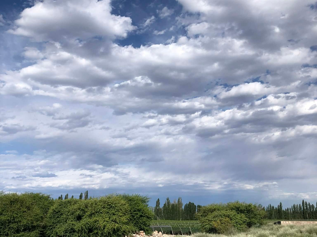 Bodega Zuccardi Valle de Uco-La Consulta必去景点