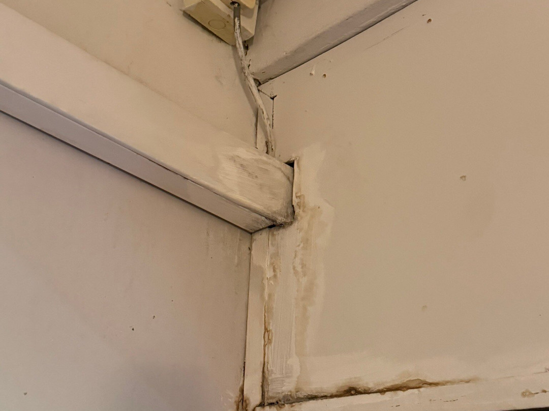 西必洛森林度假村主图