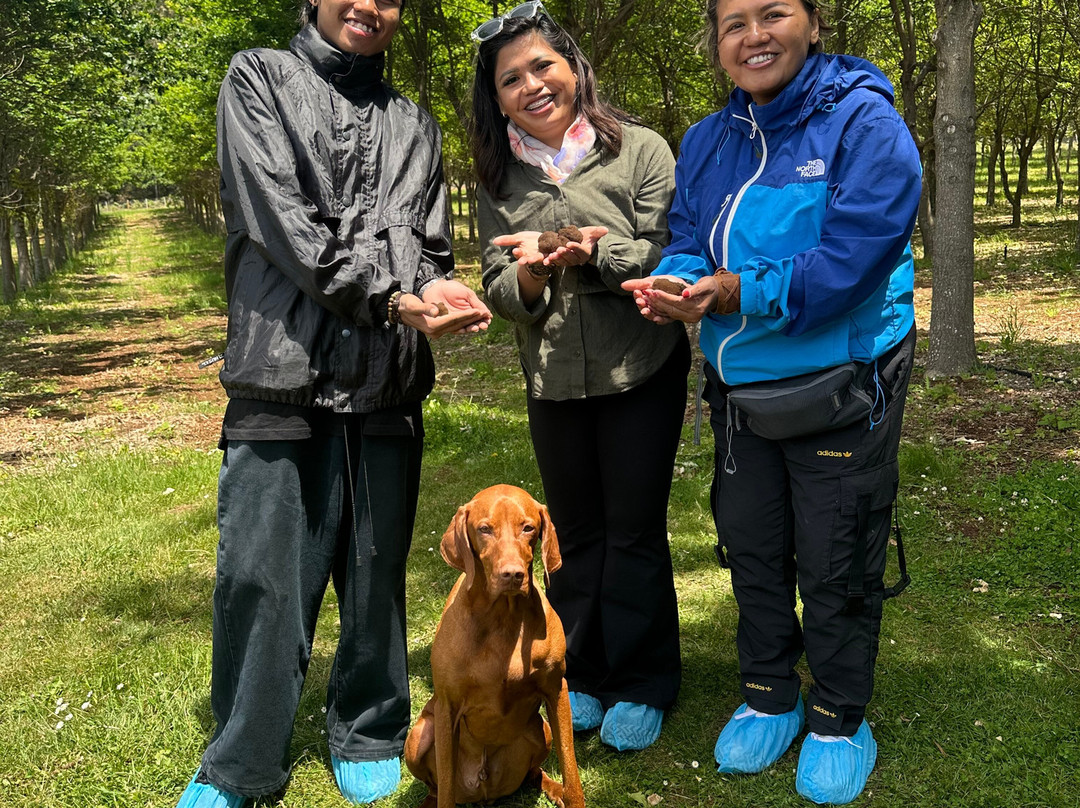 The Truffle Farm Tasmania-德洛兰恩必去景点