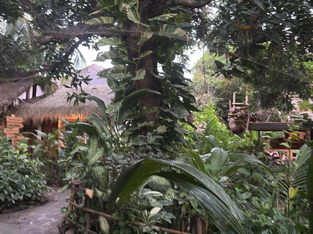 Flowers and Fire Yoga Garden Gili Air-Gili Air必去景点