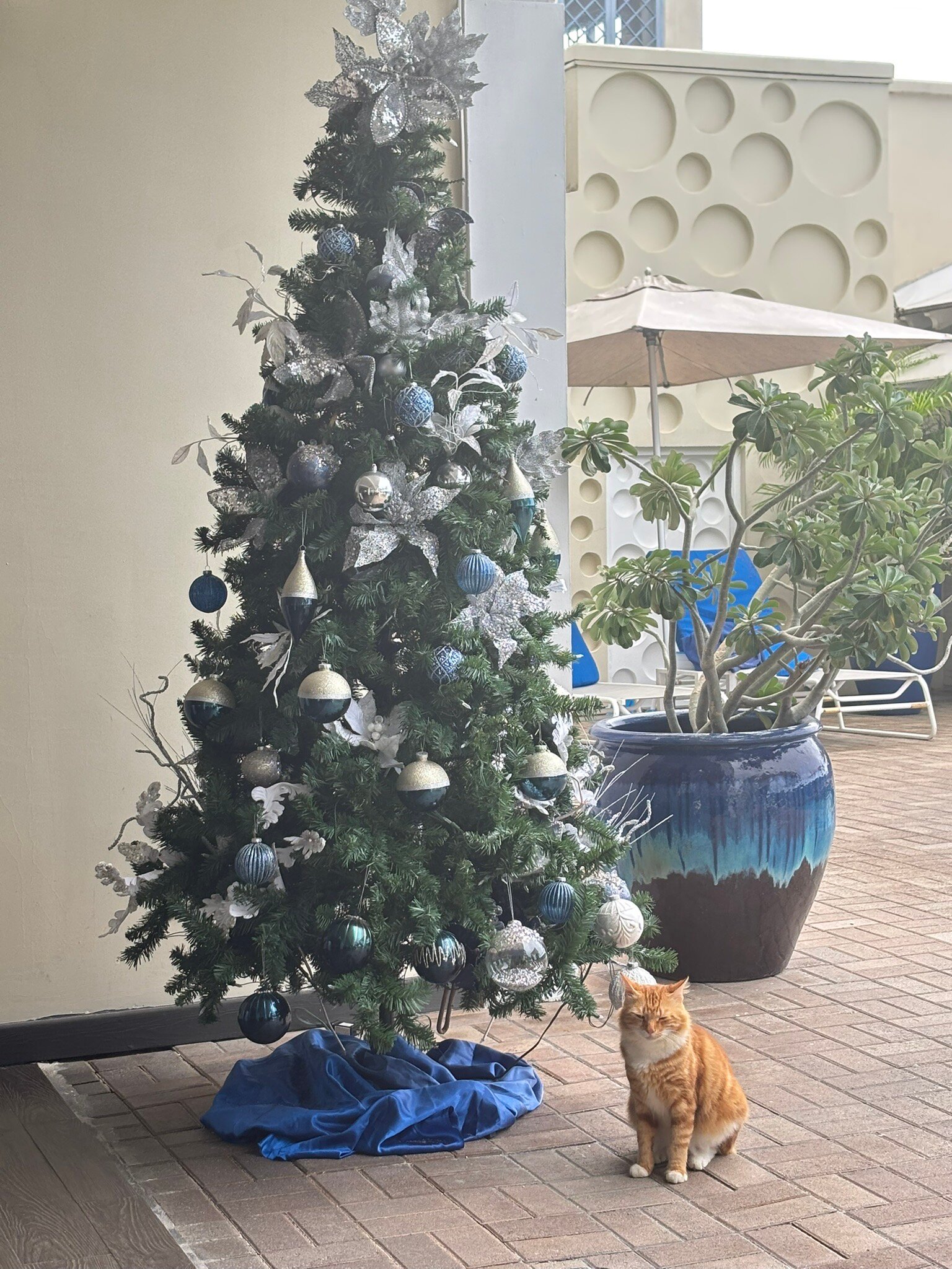 The Soco Hotel-官方