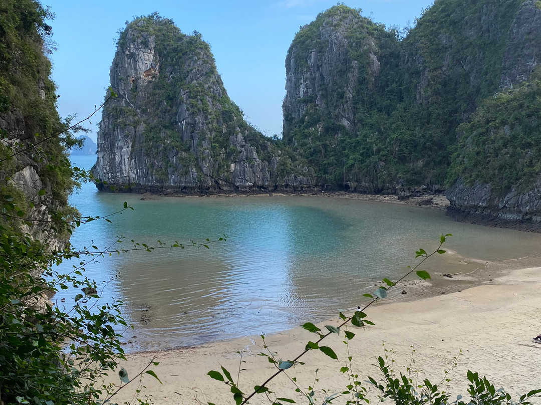 Bhaya Cruises-下龙湾必去景点