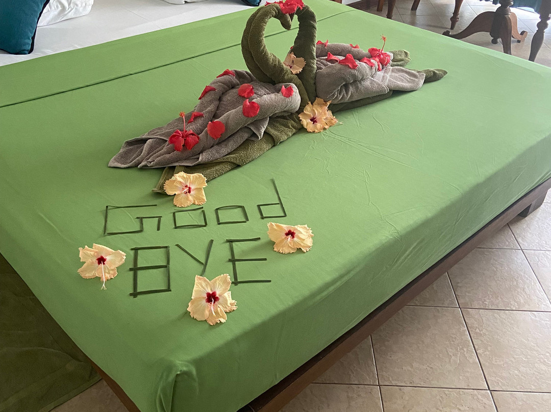 The Garden Beach Ayurveda Resort主图