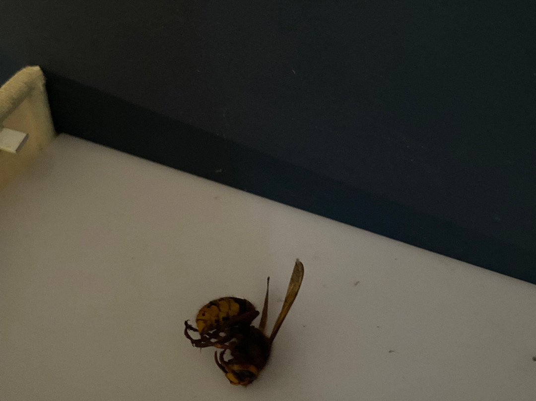 Delamere Forest-Delamere必去景点