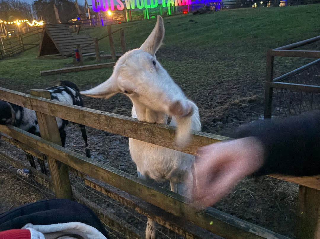 科茨沃尔德农场公园-Kineton必去景点