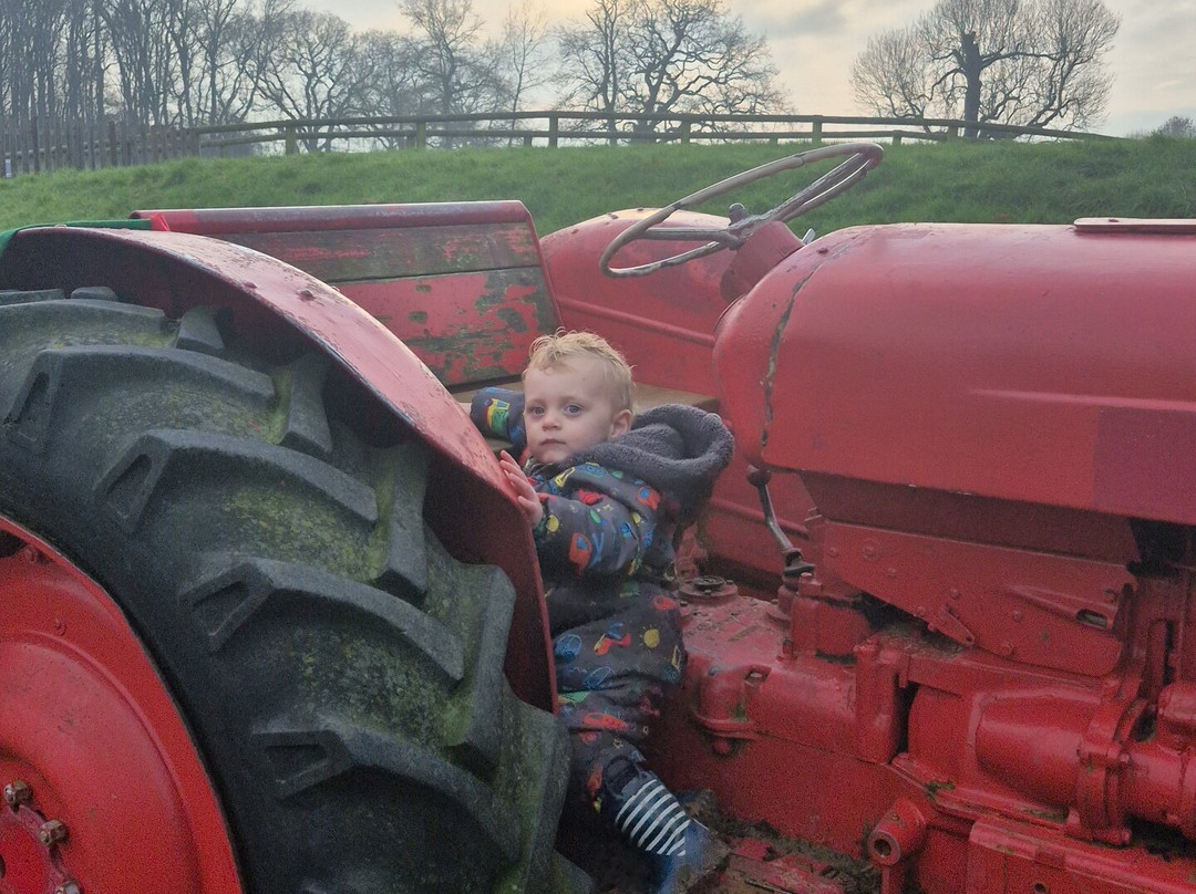 Thrift Farm-Whaddon必去景点