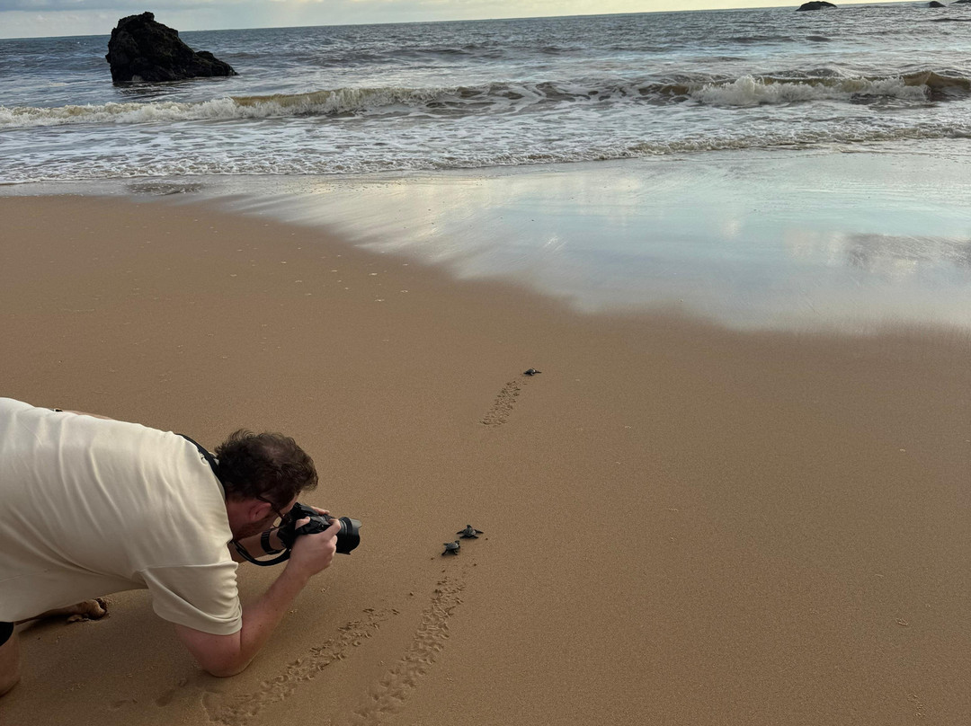 Sea Turtle Farm Galle Mahamodara-加勒必去景点