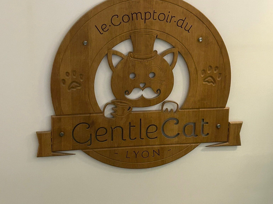 Le GentleCat - Bar à Chats - Restaurant-里昂必去景点