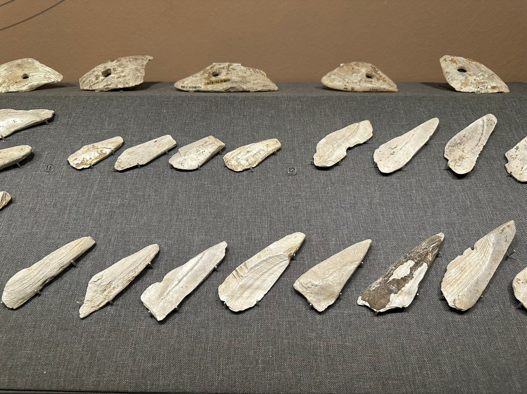 广西省博物馆-南宁市必去景点