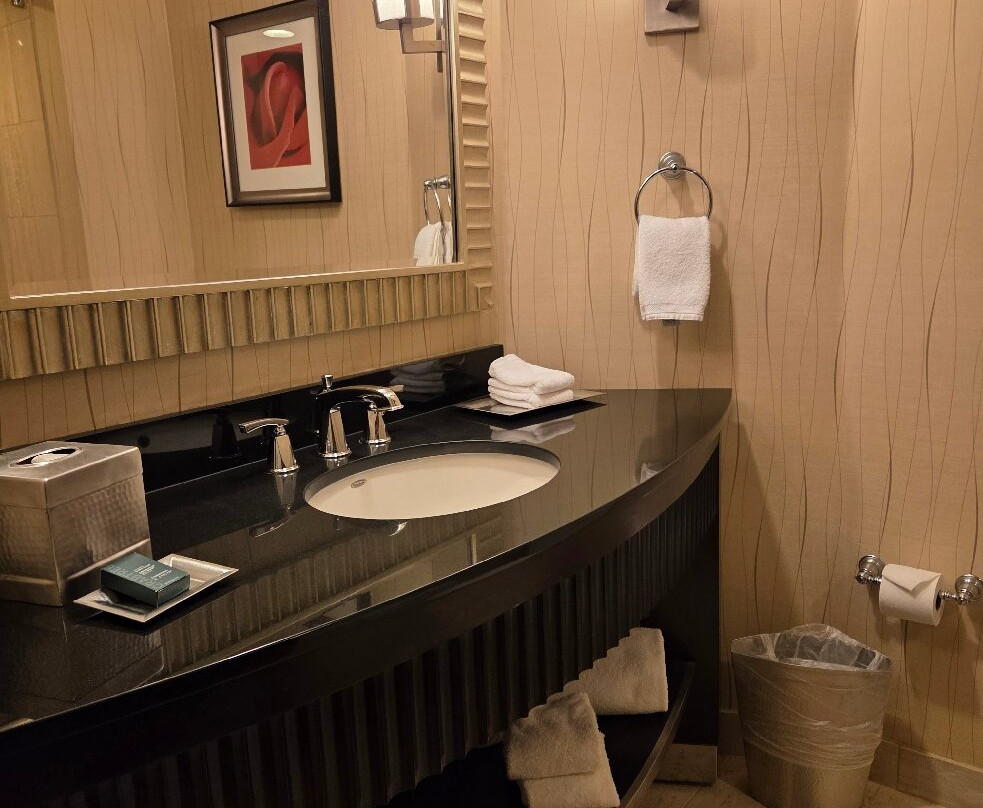 Hilton Rosemont/Chicago O'Hare主图