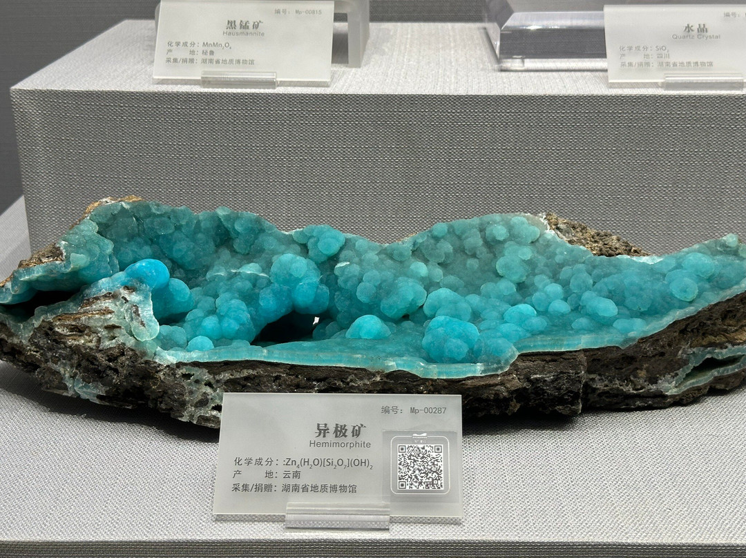 湖南省地质博物馆-长沙市必去景点