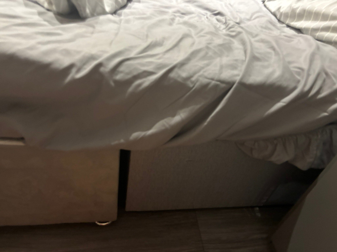 Arran Hills Pods主图