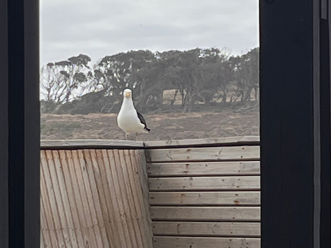 Playa Chigualoco-Los Vilos必去景点