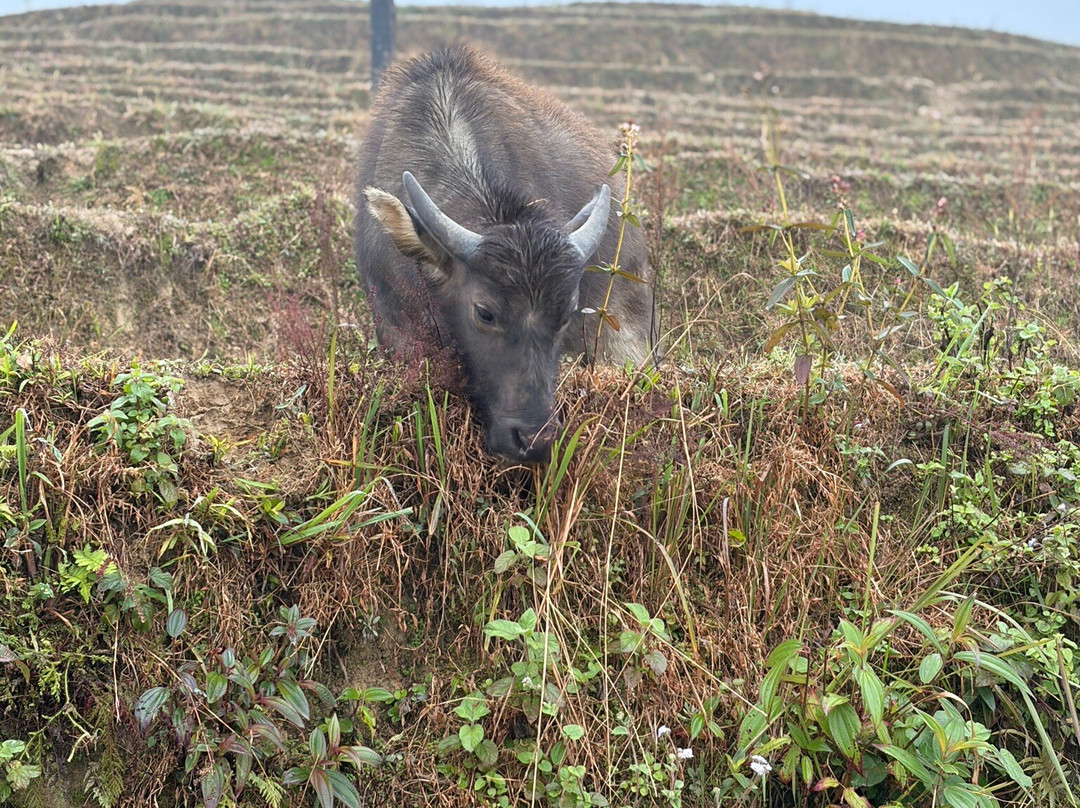 VietAsia Travel-河内必去景点