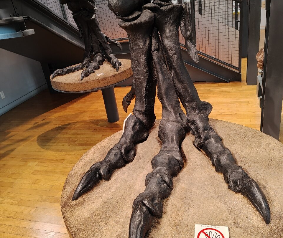 Fukui Prefectural Dinosaur Museum-胜山市必去景点