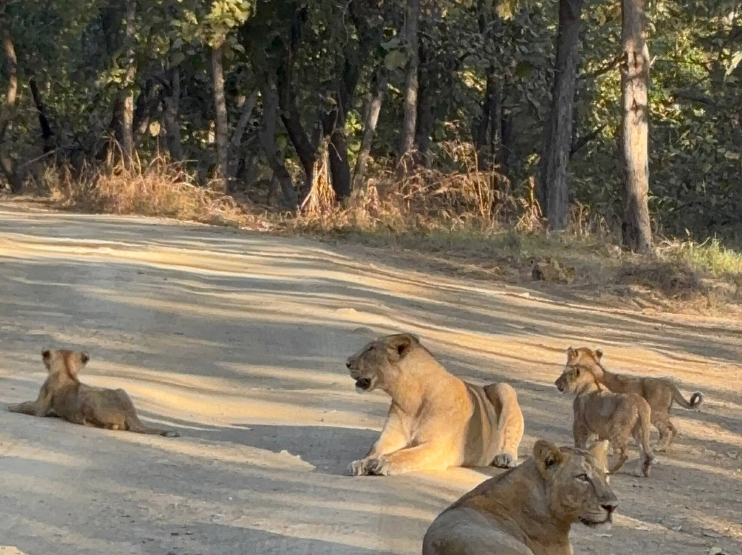 Shree Bhagwati Travels-Dwarka必去景点