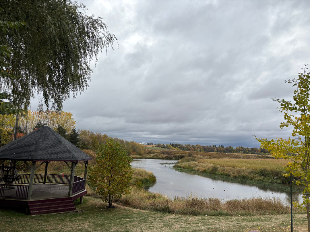 Farmhouse Inn Bed and Breakfast主图