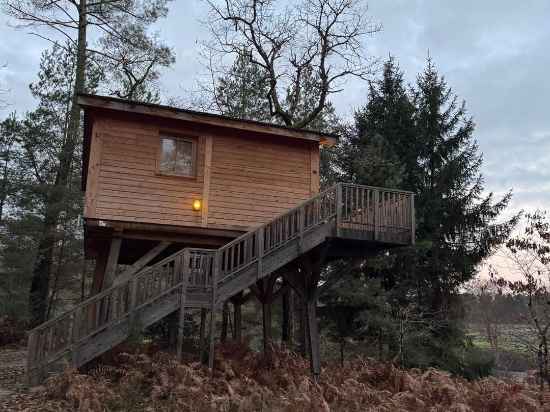 Château Léognan-Leognan必去景点