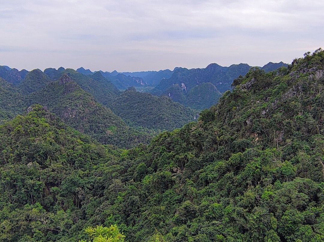 Cat Ba Ventures-卡巴必去景点