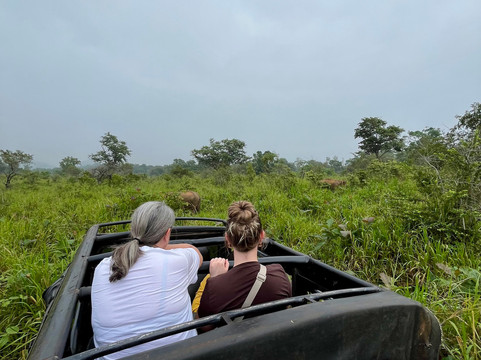 FIN Lanka Tours - Sri Lanka-加勒必去景点