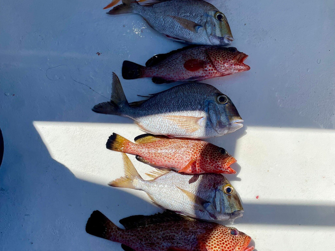 Sugar Island Tours-Jolly Harbour必去景点