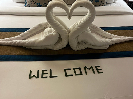 8fold  By Larisa, Shimla主图