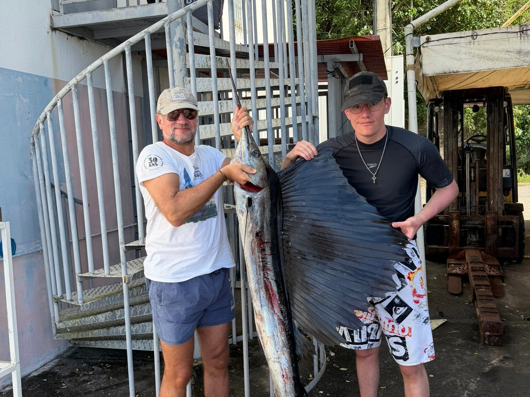 Carib Evasion-Case-Pilote必去景点