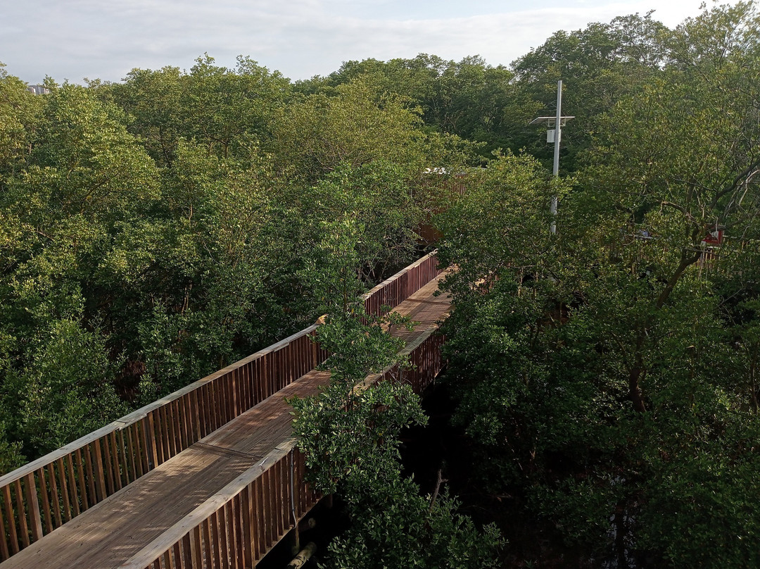 Ecoparque Ciénaga De Mallorquín