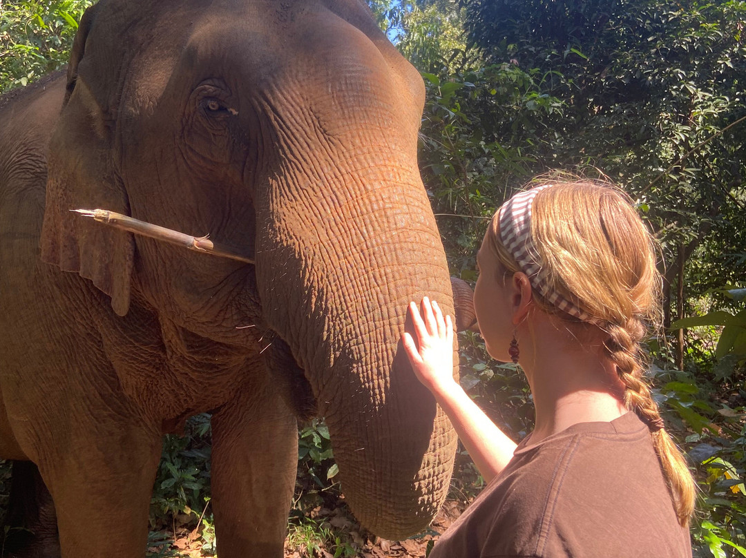 Mondulkiri Project-森莫诺隆必去景点