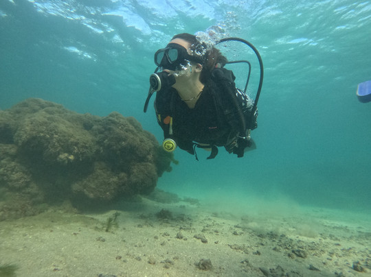 Recife Dive Mergulho-嘎林海斯港必去景点