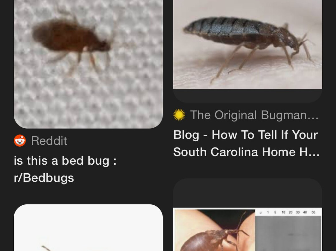 大学康福特茵酒店主图