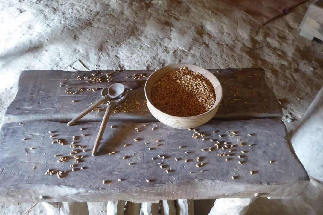 Castell Henllys Iron Age Village-Crymych必去景点