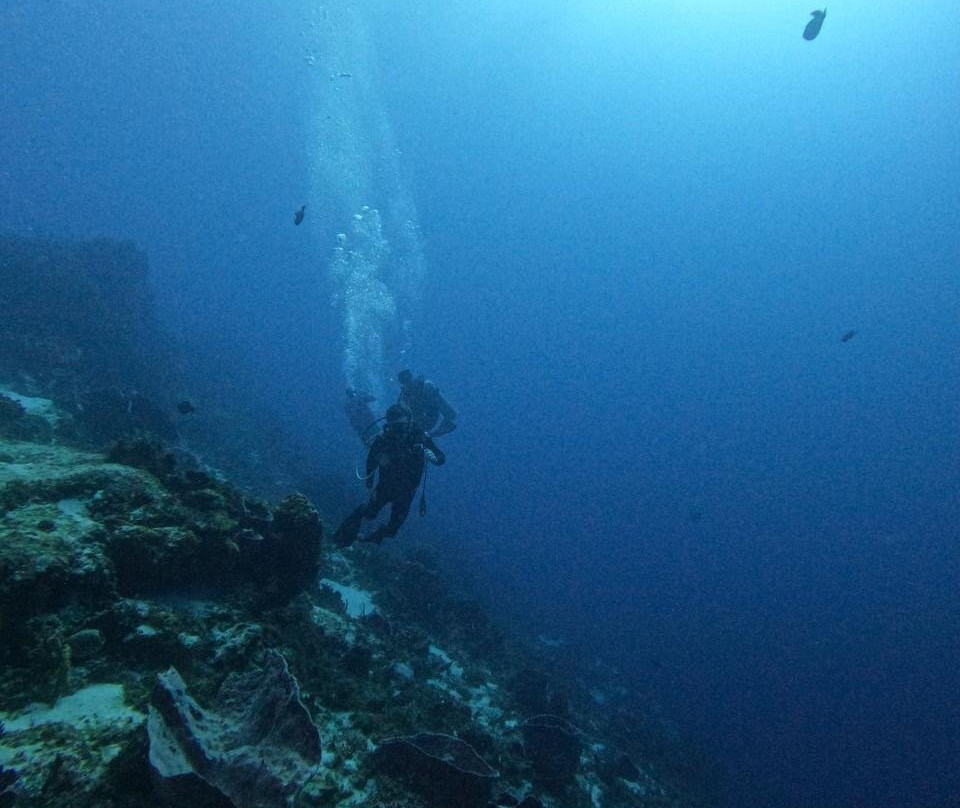King Scuba Dive Center-从莫雷洛斯港必去景点
