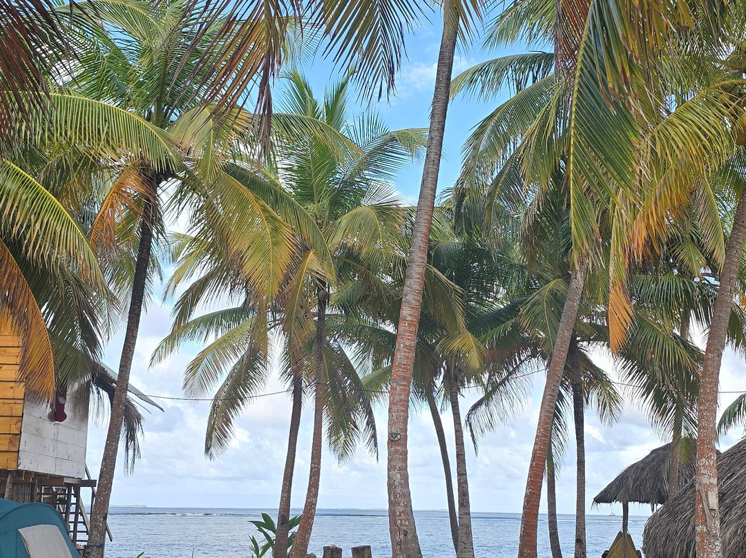 Sail Boat Trips & San Blas Catamarans-Carti Tupile必去景点