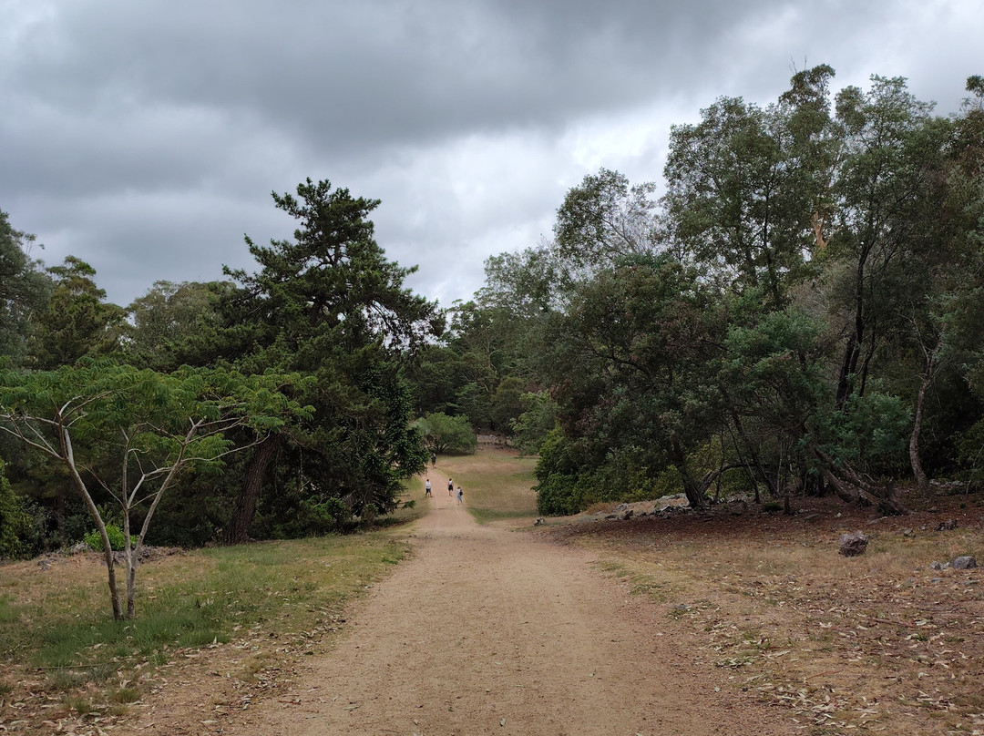 Arboretum Lussich-埃斯特角城必去景点