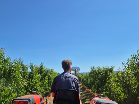 Cedar Creek Orchard-Picton必去景点