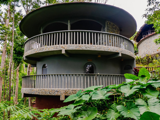 Atremaru Jungle Retreat主图