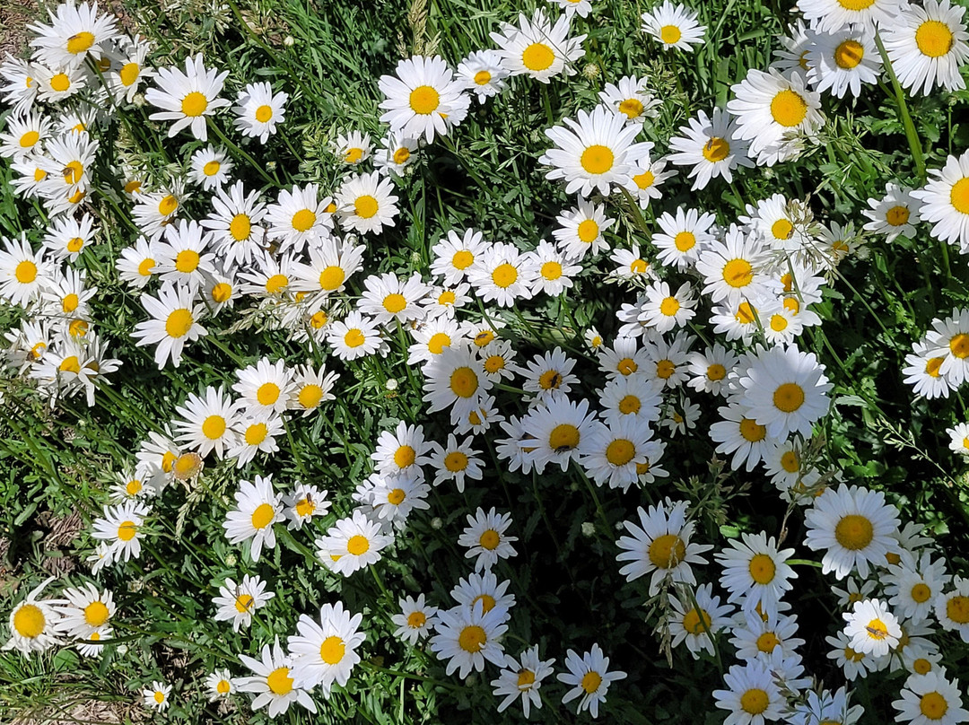 Posada Inti Watana主图